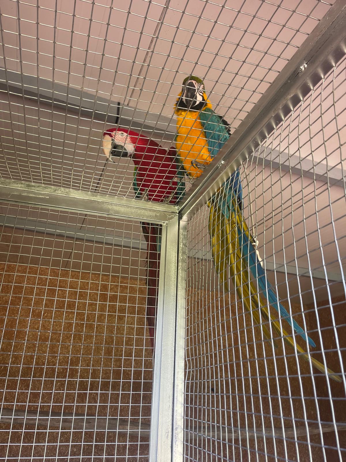 Parc animalier — 12