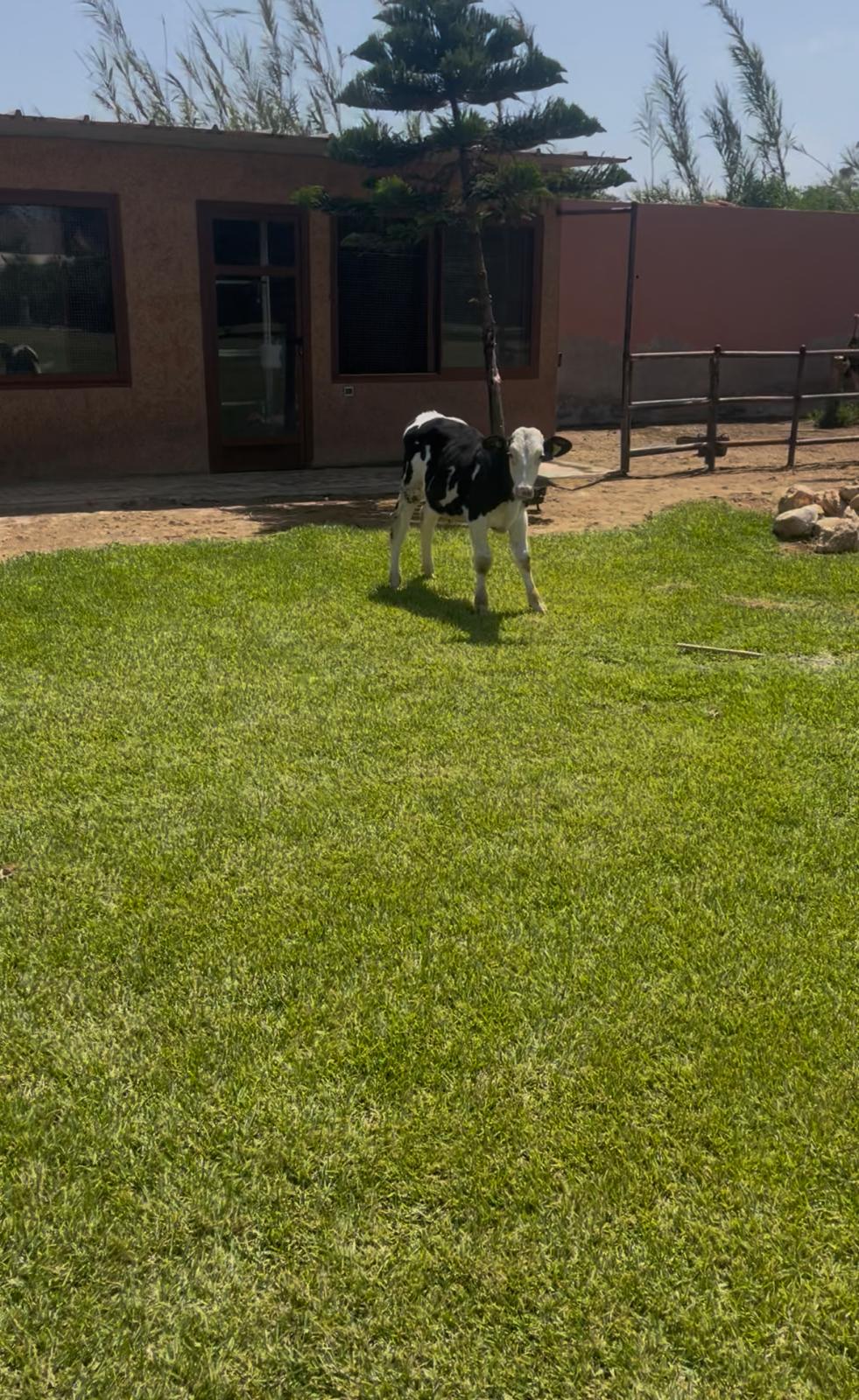 Parc animalier — 13