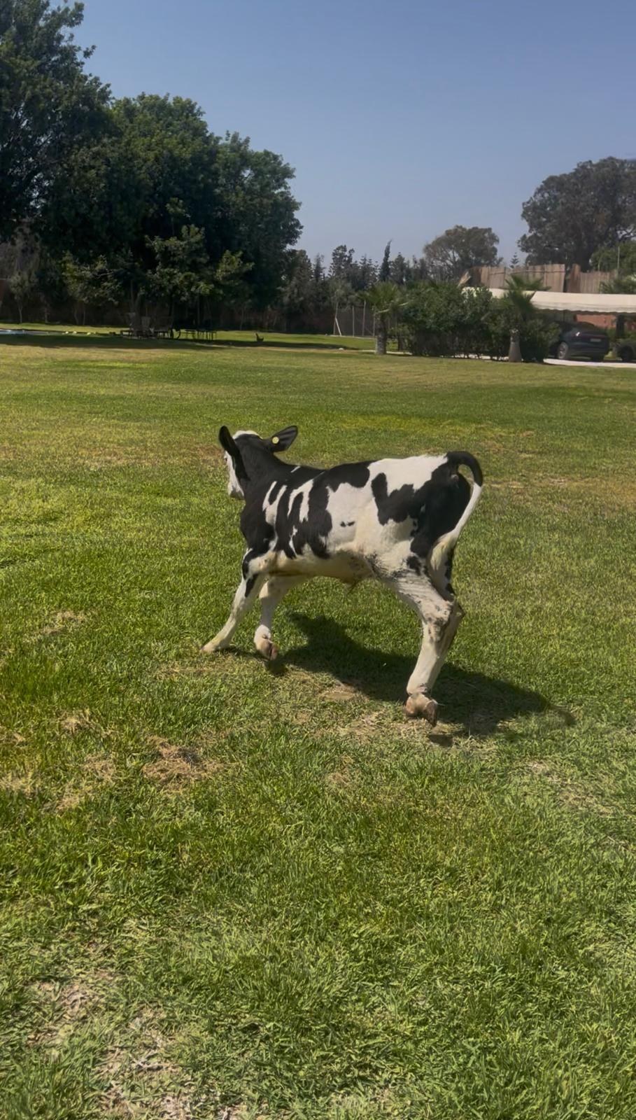 Parc animalier — 14