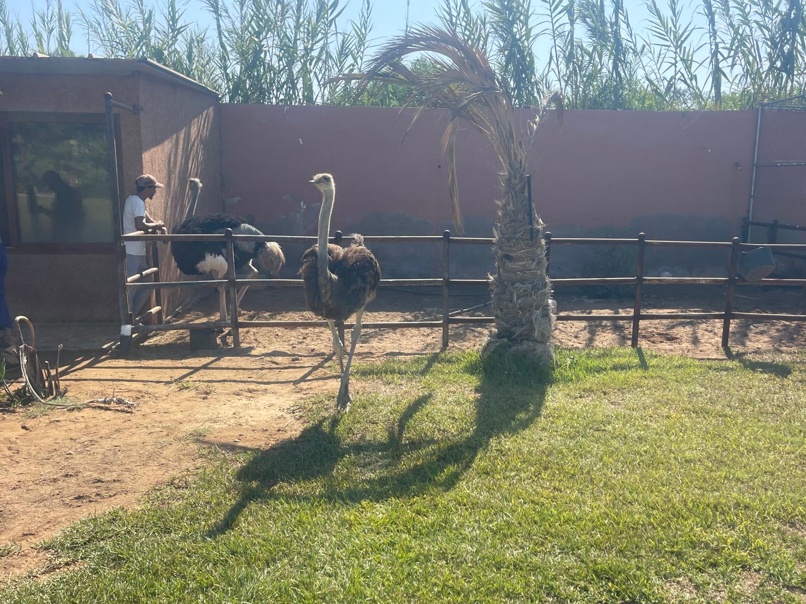 Parc animalier — 2