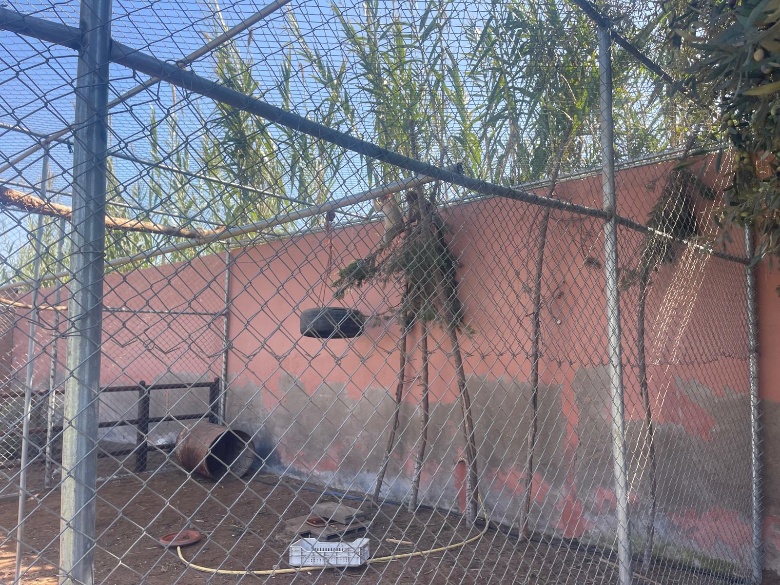 Parc animalier — 3