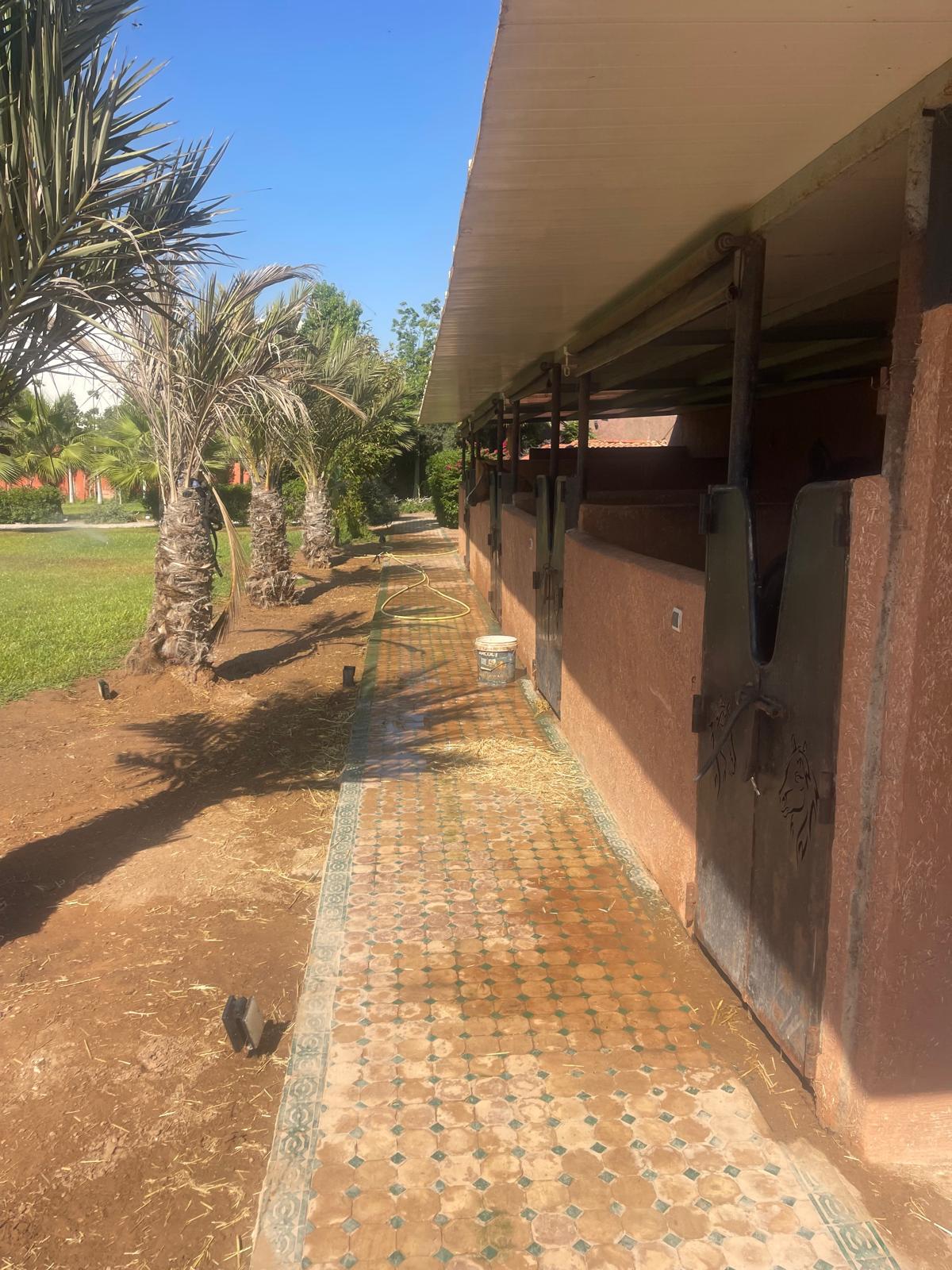 Parc animalier — 9